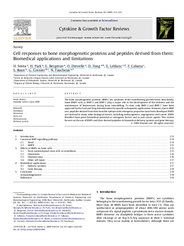 (PDF) Cell responses to bone morphogenetic proteins and peptides ...