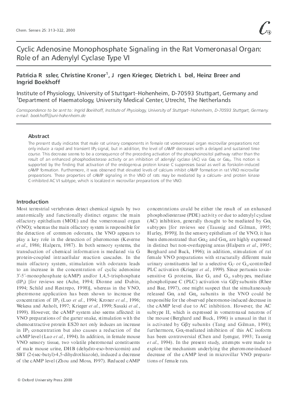 (PDF) Cyclic Adenosine Monophosphate Signaling in the Rat Vomeronasal ...