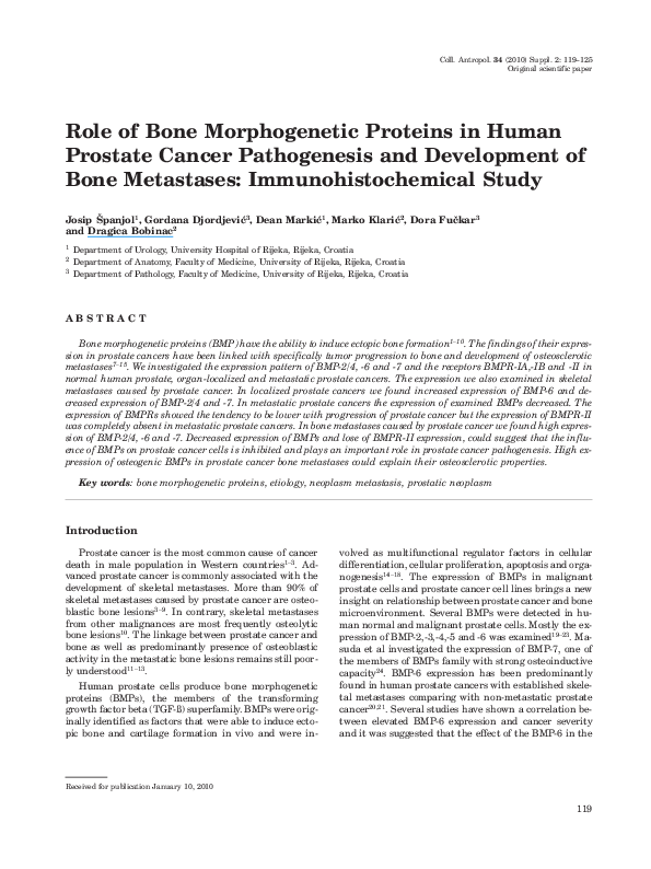(PDF) Role of bone morphogenetic proteins in human prostate cancer ...