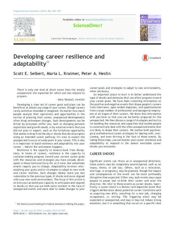 Career resilience theory picture