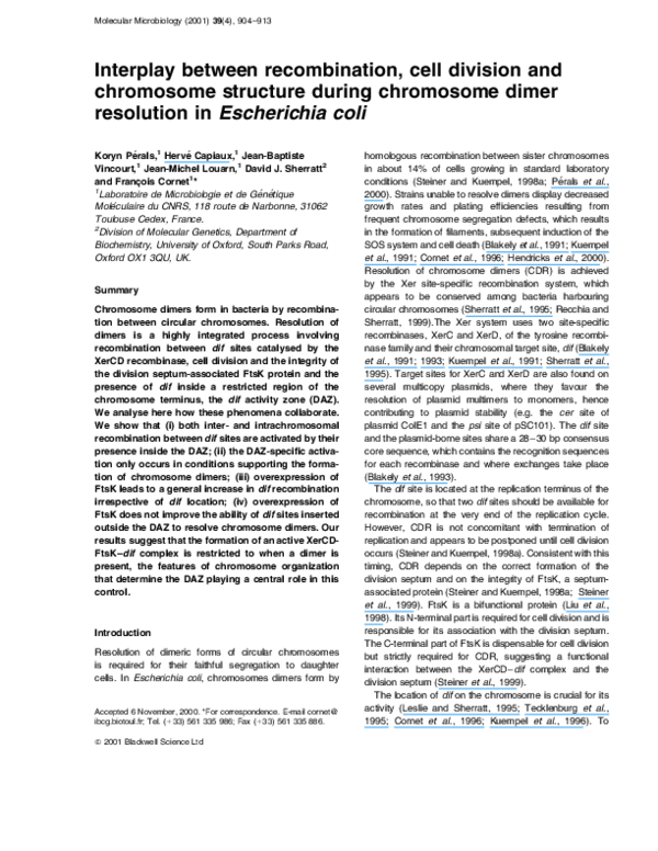 (PDF) Interplay between recombination, cell division and chromosome ...