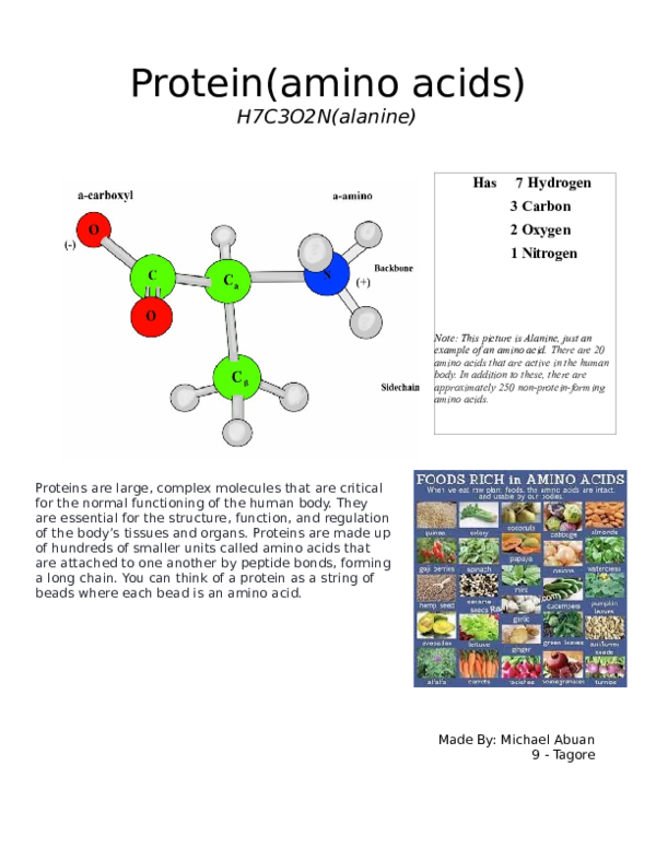 Protein(amino acids jhay alajenio Academia.edu