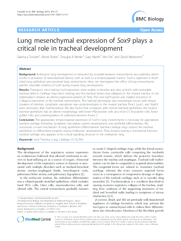 (PDF) Lung mesenchymal expression of Sox9 plays a critical role in ...