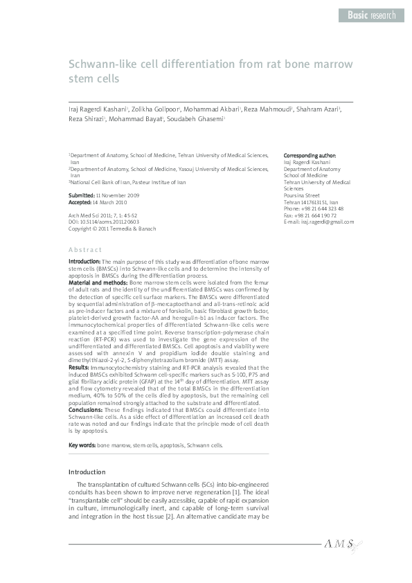 (PDF) Schwann-like cell differentiation from rat bone marrow stem cells