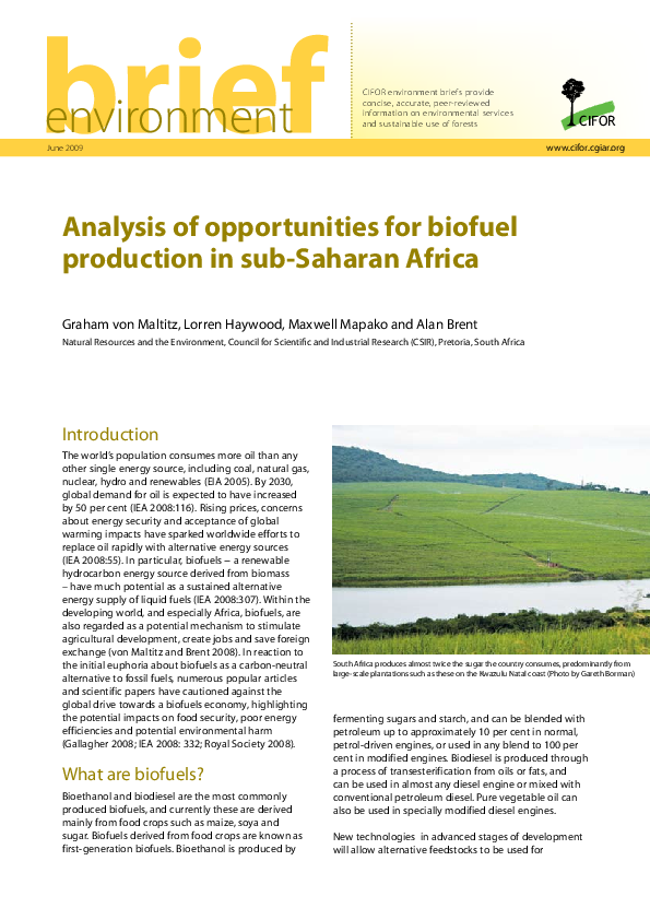 (PDF) Analysis of opportunities for biofuel production in sub-Saharan ...