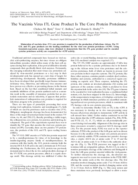 (PDF) The Vaccinia Virus I7L Gene Product Is The Core Protein Proteinase