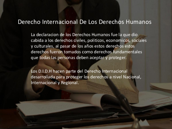 (PPT) Derecho Internacional De Los Derechos Humanos