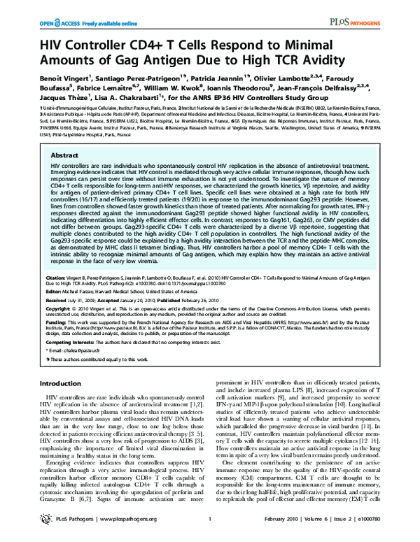 (PDF) HIV Controller CD4+ T Cells Respond to Minimal Amounts of Gag ...