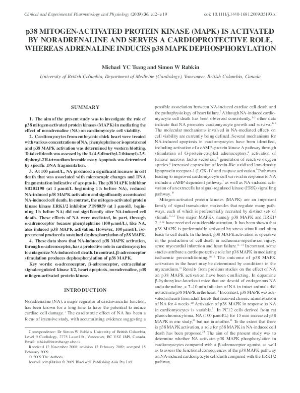 (PDF) p38 MITOGEN-ACTIVATED PROTEIN KINASE (MAPK) IS ACTIVATED BY ...