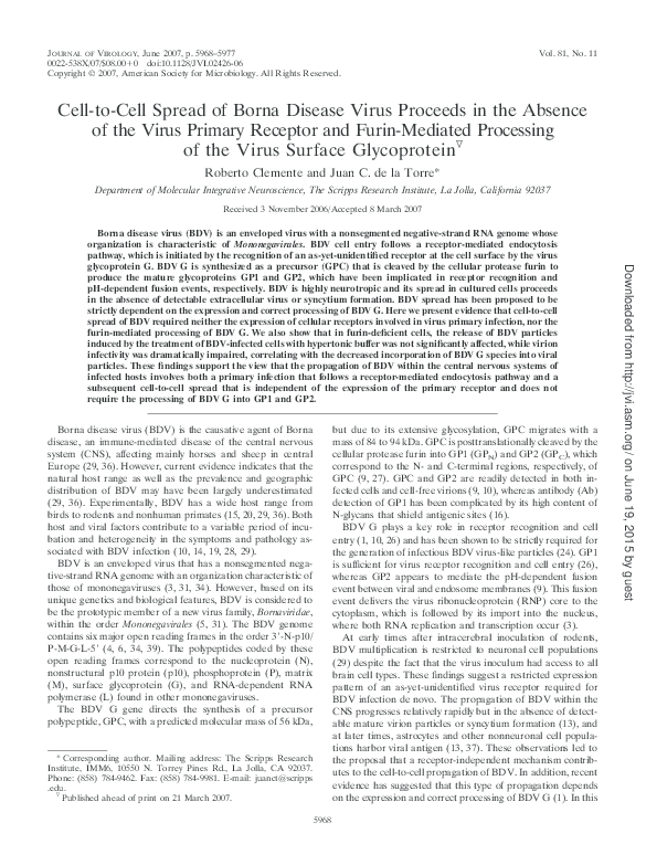 (PDF) Cell-to-Cell Spread of Borna Disease Virus Proceeds in the ...