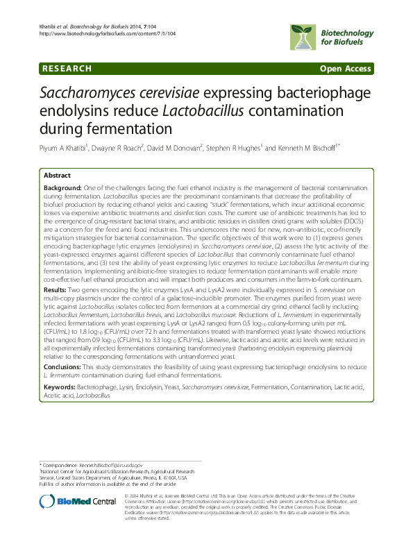 (PDF) Saccharomyces cerevisiae expressing bacteriophage endolysins ...