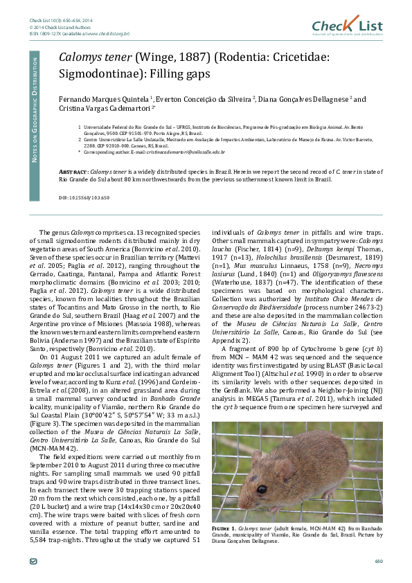 (PDF) Calomys tener (Winge, 1887) (Rodentia: Cricetidae: Sigmodontinae ...
