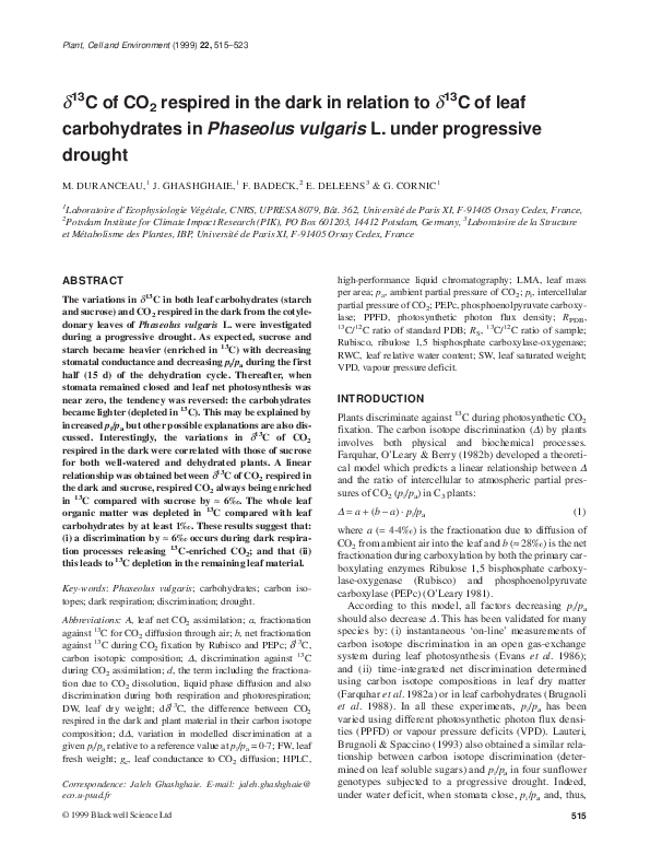 (PDF) δ 13 C of CO 2 respired in the dark in relation to δ 13 C of leaf ...