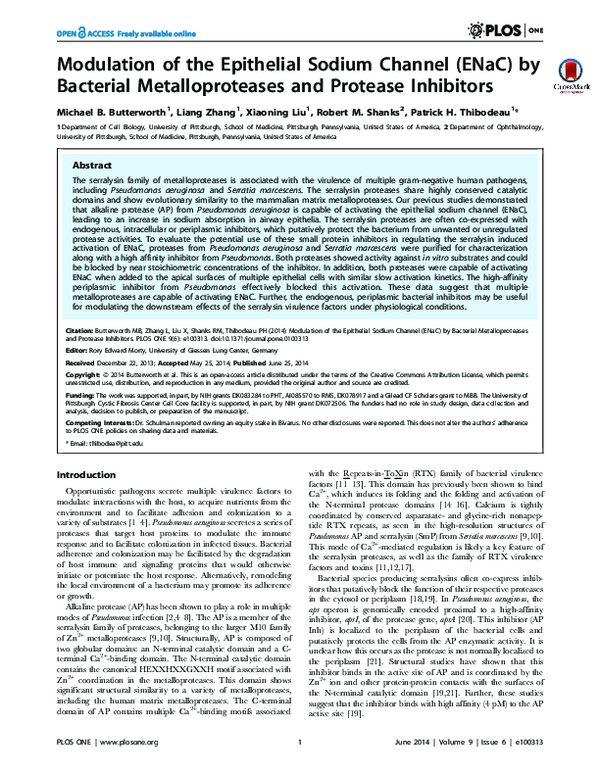 (PDF) Modulation of the Epithelial Sodium Channel (ENaC) by Bacterial ...