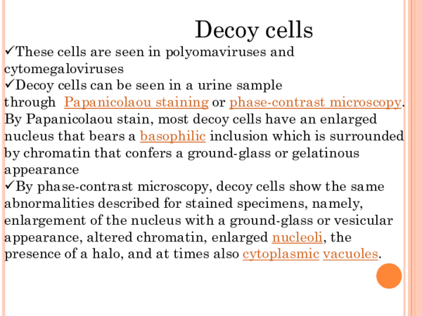 (PPT) Decoy cells