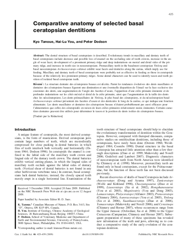 Comparative anatomy wikipedia picture
