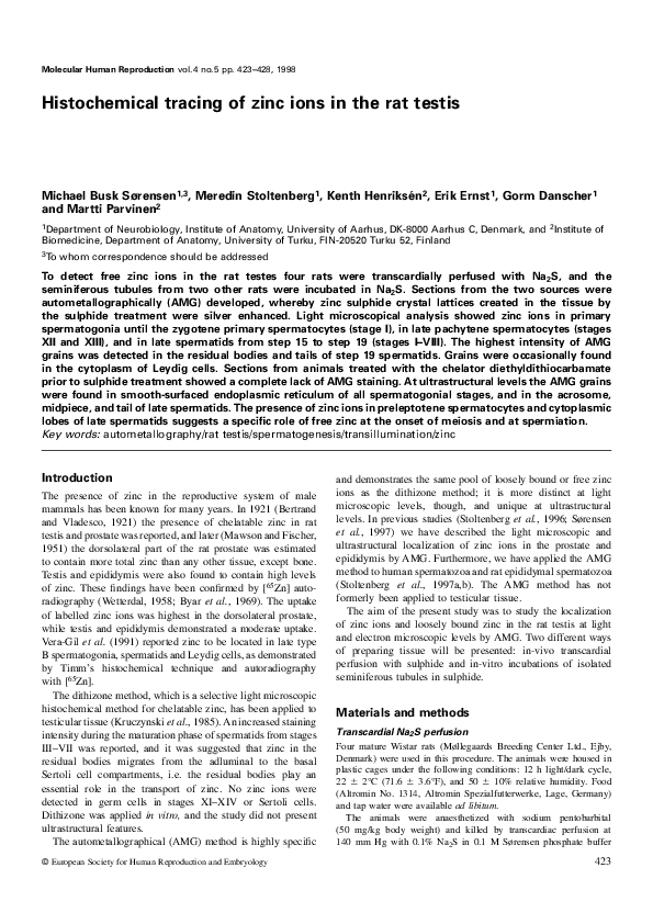 (PDF) Histochemical tracing of zinc ions in the rat testis Gorm