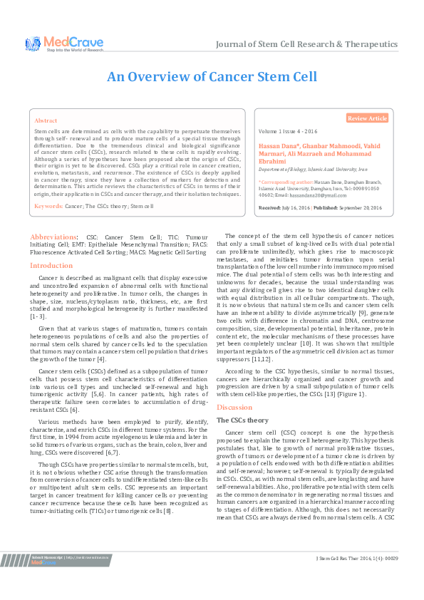 (PDF) An Overview of Cancer Stem Cell