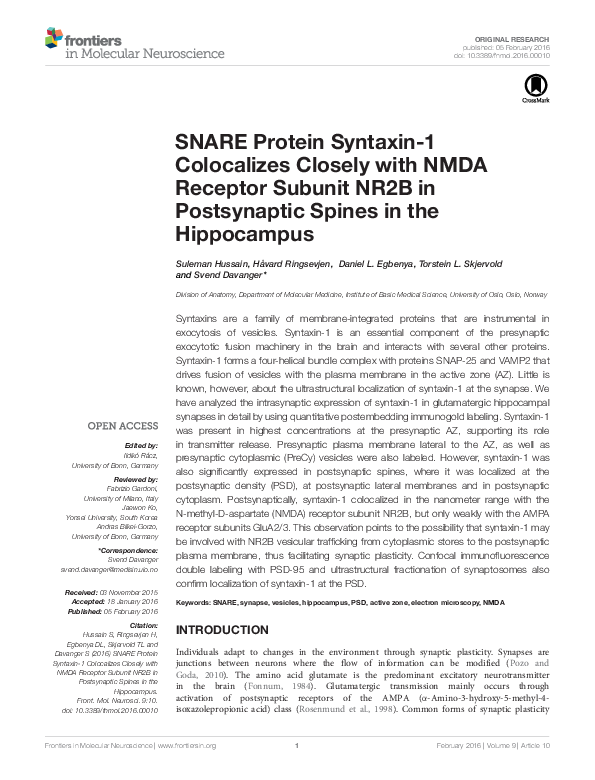 (PDF) SNARE Protein Syntaxin-1 Colocalizes Closely with NMDA Receptor ...