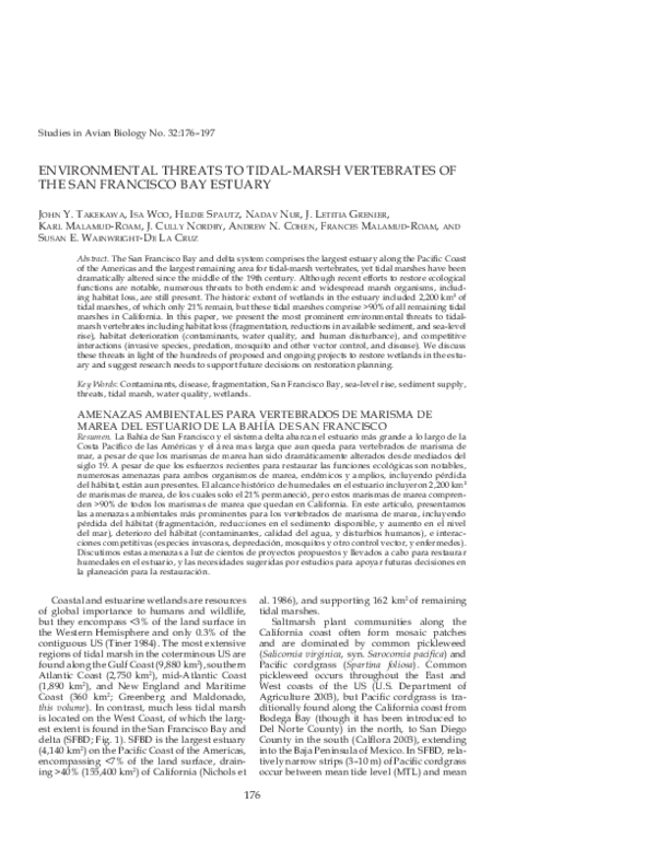 Environmental issues essay pdf image