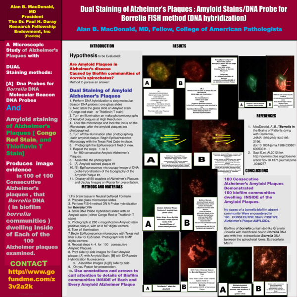 (PDF) Dual Staining of Alzheimer's Plaques : Amyloid Stains/DNA Probe ...