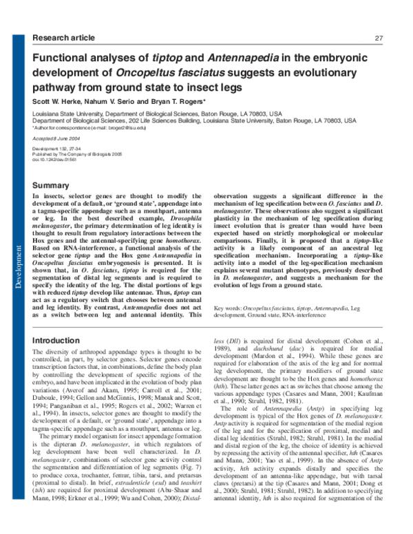 (PDF) Functional analyses of tiptop and Antennapedia in the embryonic ...