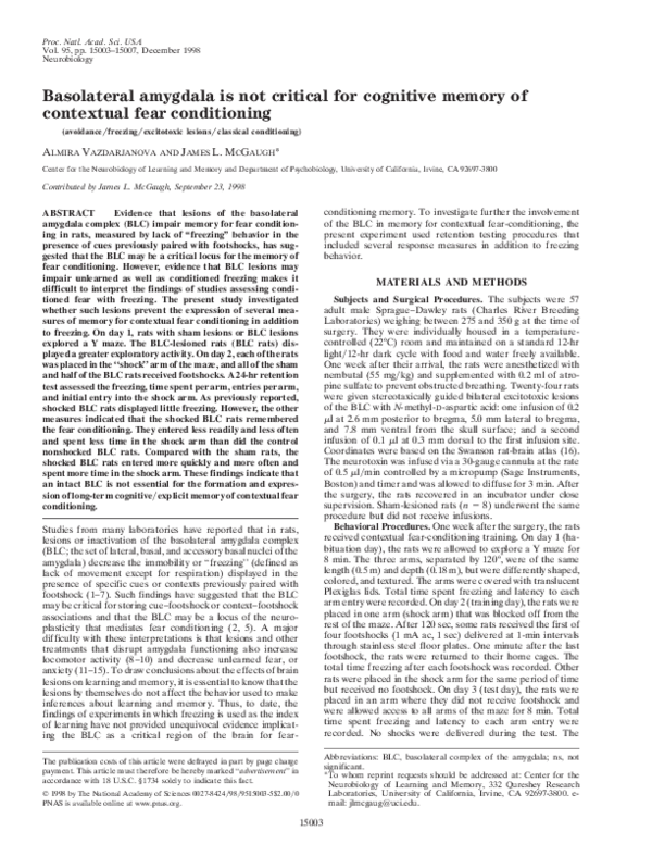 What happens when amygdala damage picture