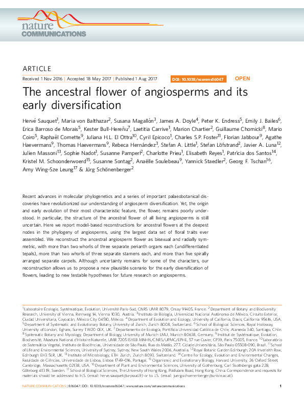 (PDF) The ancestral flower of angiosperms and its early diversification