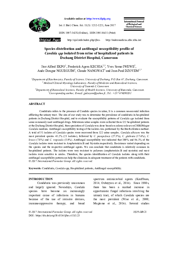 Capital of cameroon picture