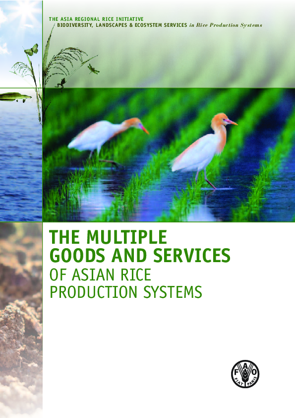 (PDF) The Multiple Goods and Services of Asian Rice Production Systems