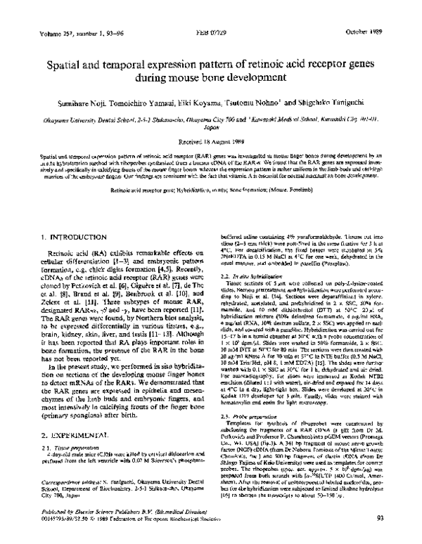 (PDF) Spatial and temporal expression pattern of retinoic acid receptor ...