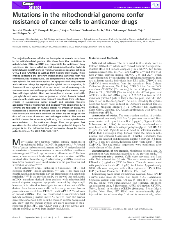 (PDF) Mutations in the mitochondrial genome confer resistance of cancer ...