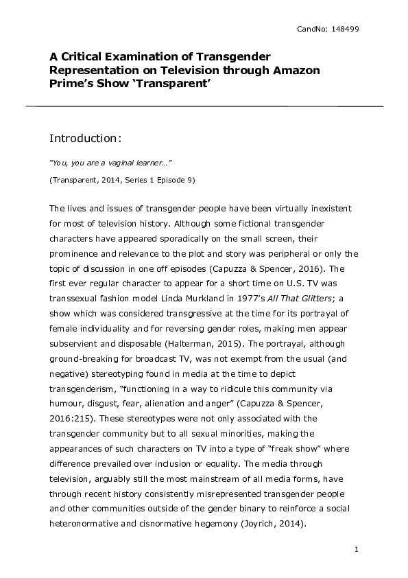 (DOC) A Critical Examination of Transgender Representation on