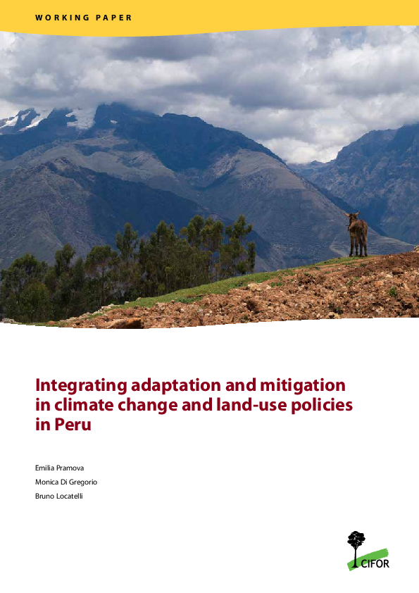 (PDF) Integrating adaptation and mitigation in climate change and land ...
