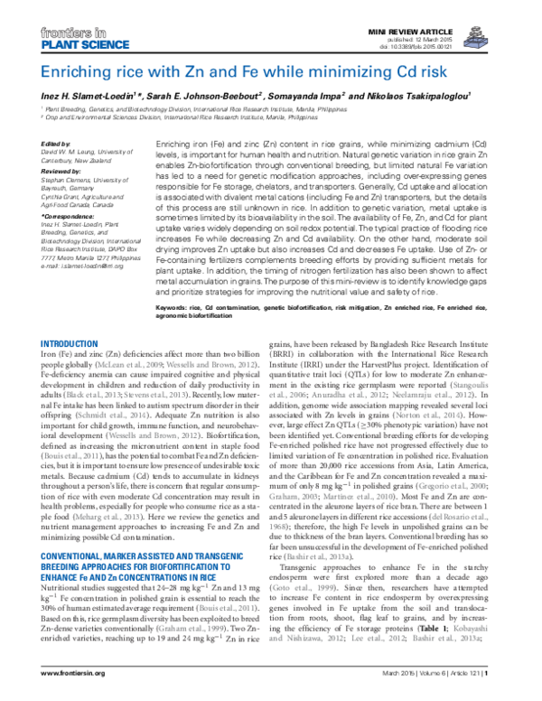 (PDF) Enriching rice with Zn and Fe while minimizing Cd risk