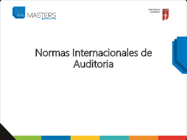 (PDF) Normas Internacionales de Auditoria