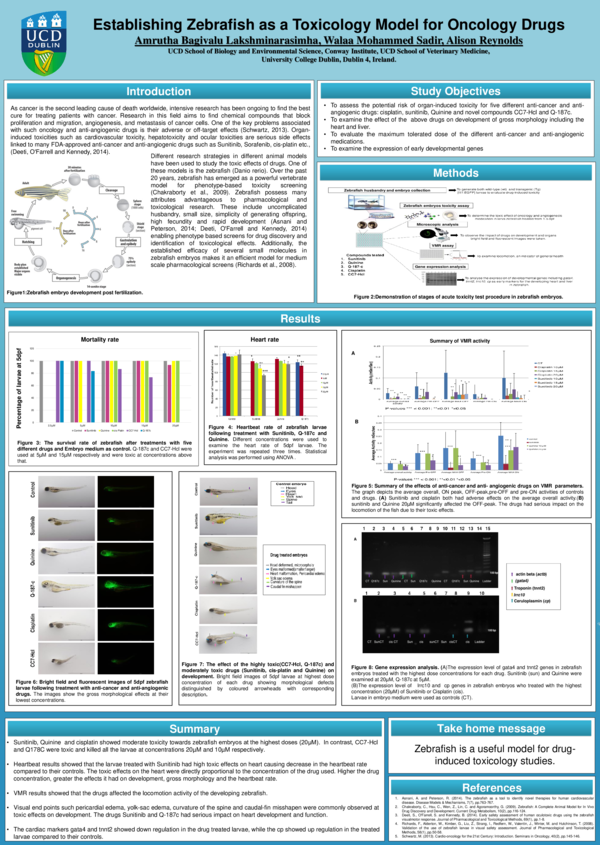 (PDF) Establishing Zebrafish as a Toxicology Model for Oncology Drugs