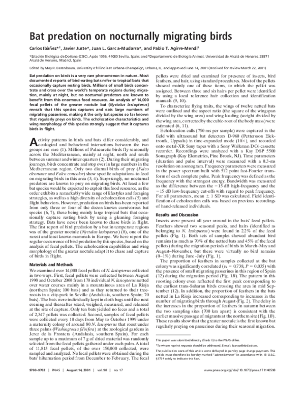 (PDF) Bat predation on nocturnally migrating birds