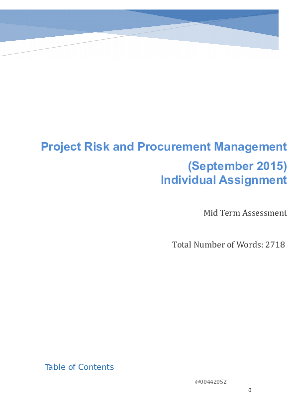 (DOC) Project Risk and Procurement Management