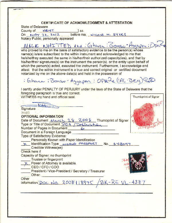 pdf-authentic-power-of-attorney-pdf