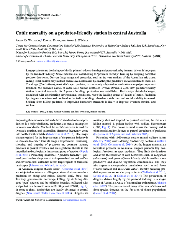 (PDF) Cattle mortality on a predator-friendly station in central Australia