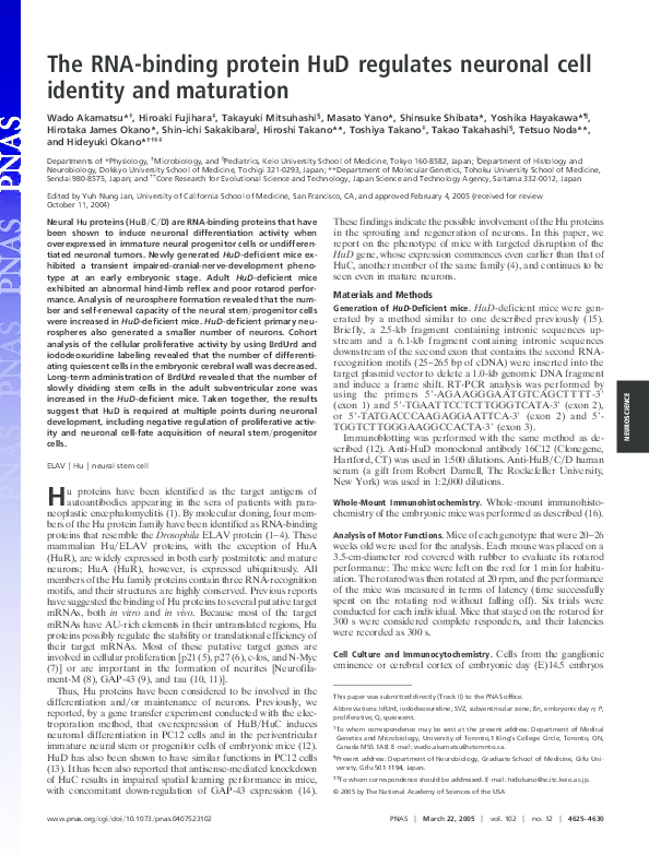 (PDF) The RNA-binding protein HuD regulates neuronal cell identity and ...