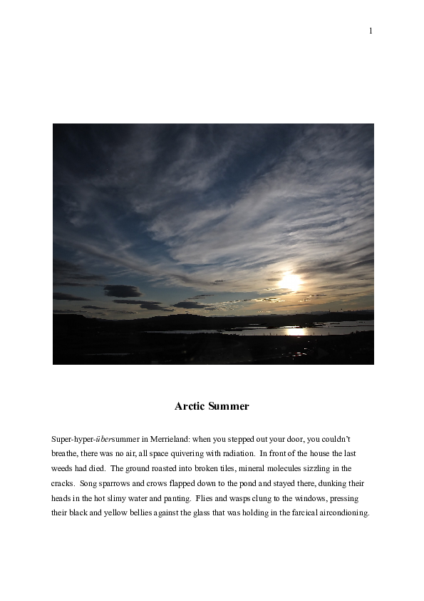 (DOC) Arctic Summer.docx Alphonso Lingis Academia.edu