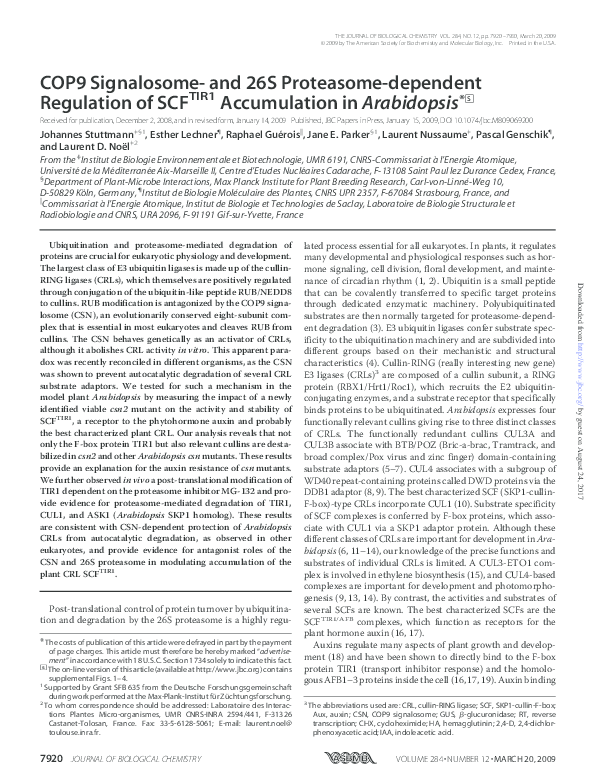 (PDF) COP9 Signalosome- and 26S Proteasome-dependent Regulation of ...