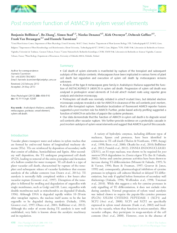 (PDF) Post mortem function of AtMC9 in xylem vessel elements