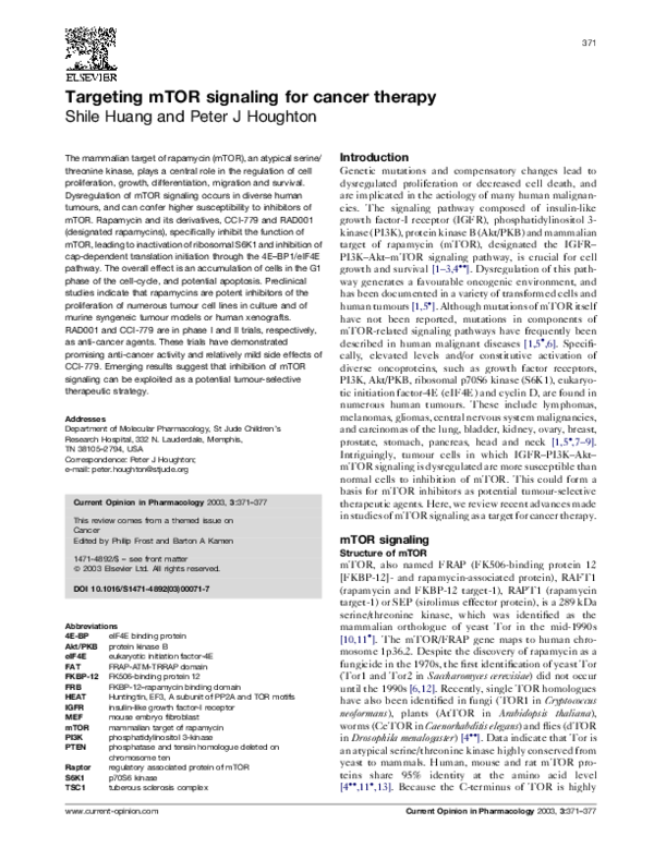 (PDF) Targeting mTOR signaling for cancer therapy