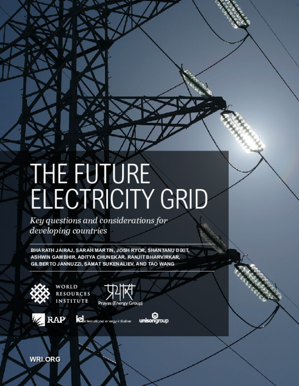 Pdf I The Future Electricity Grid Key Questions And Considerations