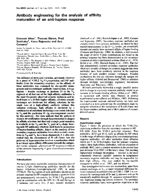 (PDF) Antibody engineering for the analysis of affinity maturation of