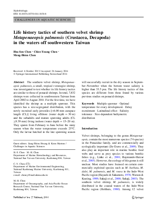 Shrimp what is it image