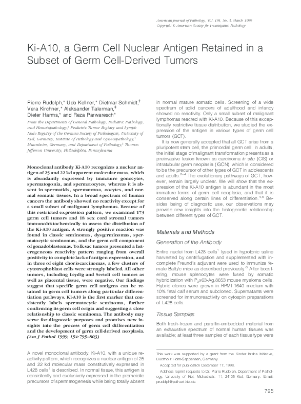 Image result for (PDF) Ki-A10, a Germ Cell Nuclear Antigen Retained in a Subset of Germ ...